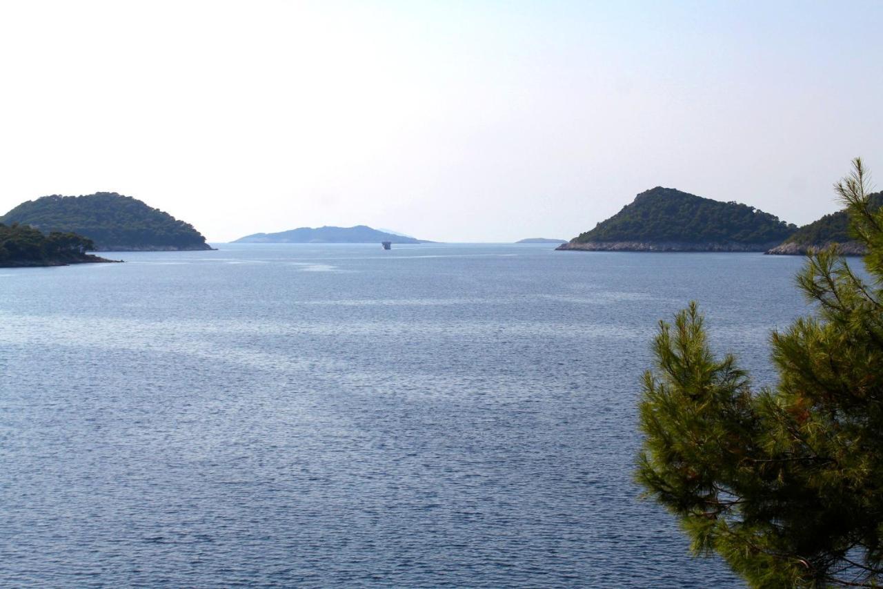 Apartments By The Sea Ubli, Lastovo - 8354 Uble Екстер'єр фото